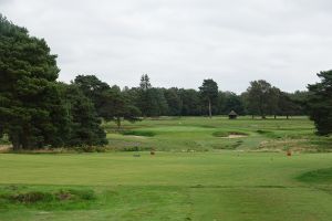 Walton Heath (Old) 17th Tips